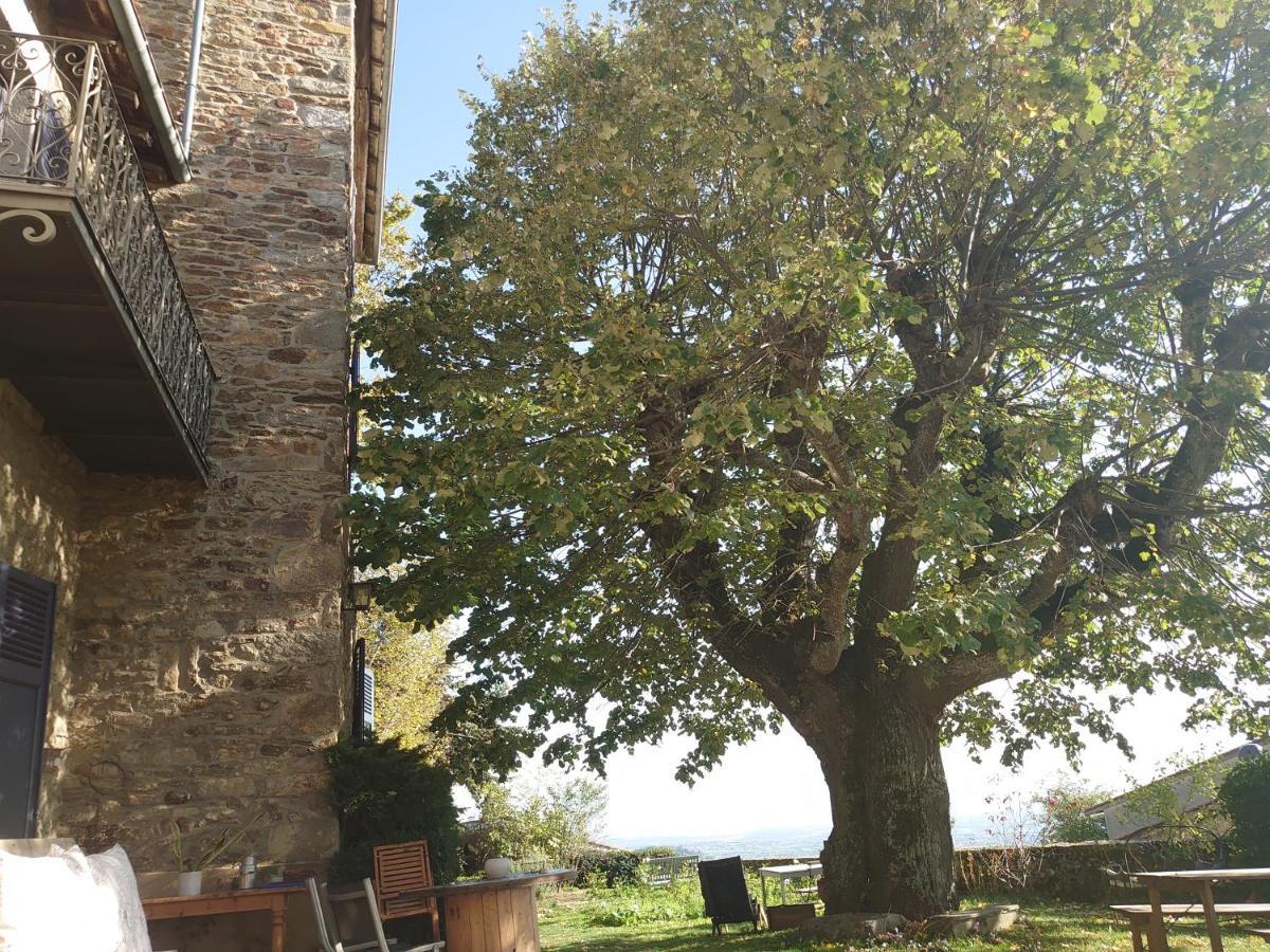 Chateau De Riverie Chambres Et Table D'Hotes מראה חיצוני תמונה